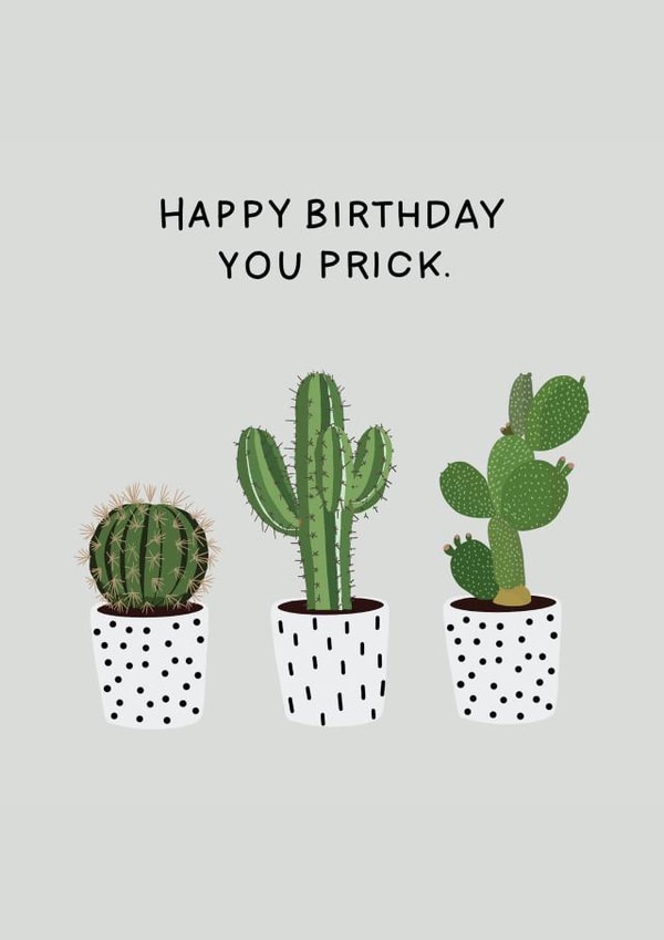 Happy birthday you prick. - cactus plant created by Jamie Lindsay