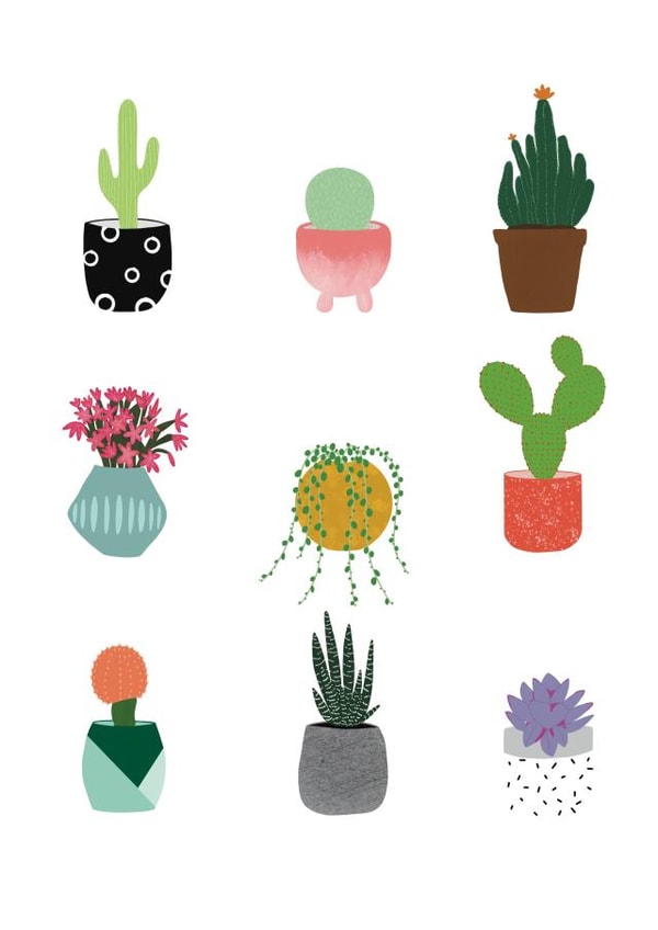 New Home Cactus Plant Card created by Frankie Rose Illustration