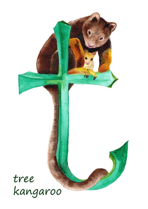 T is for tree kangaroo card created by Wilderness Illustrated