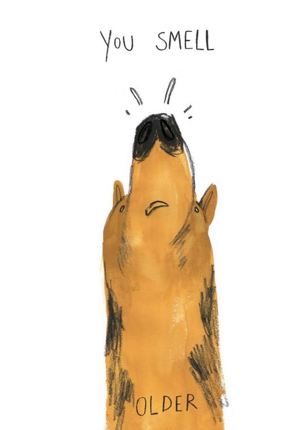 You Smell Older, birthday card from the dog created by @Jodsween