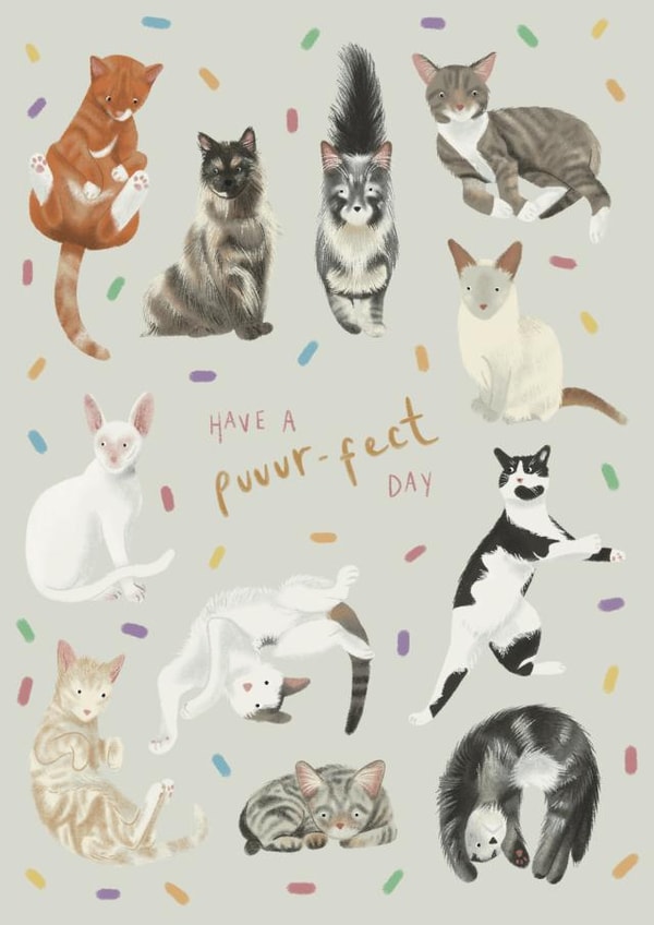 Cat Party created by Hope Olivia Illustrations