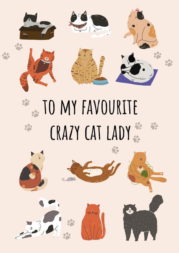 To my favourite crazy cat lady created by Pixie Paper Art