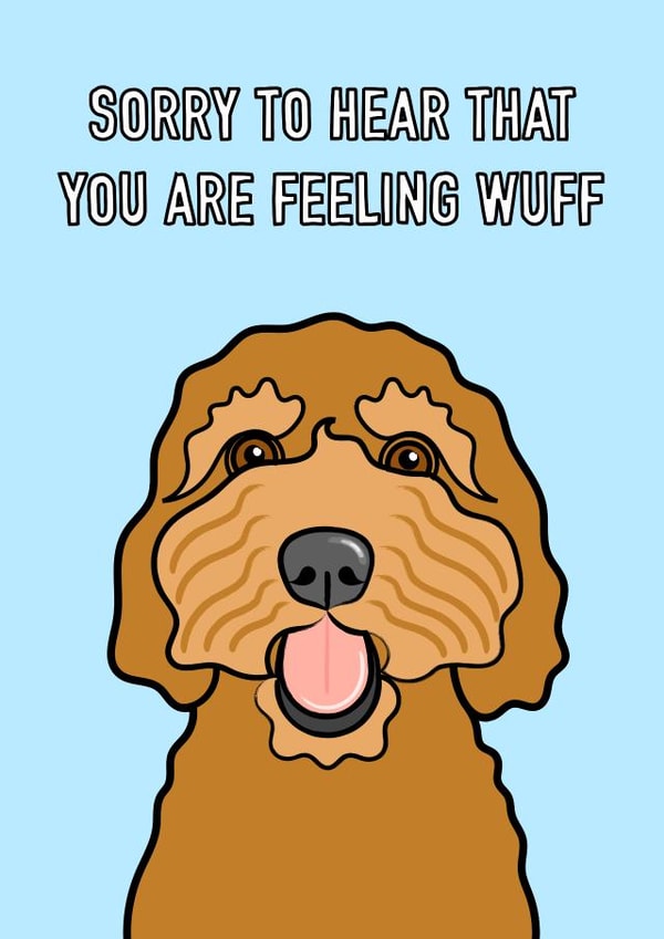 Cockapoo dog get well card created by Adam Regester