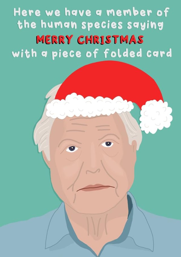 David Attenborough Christmas Card created by Red Koala