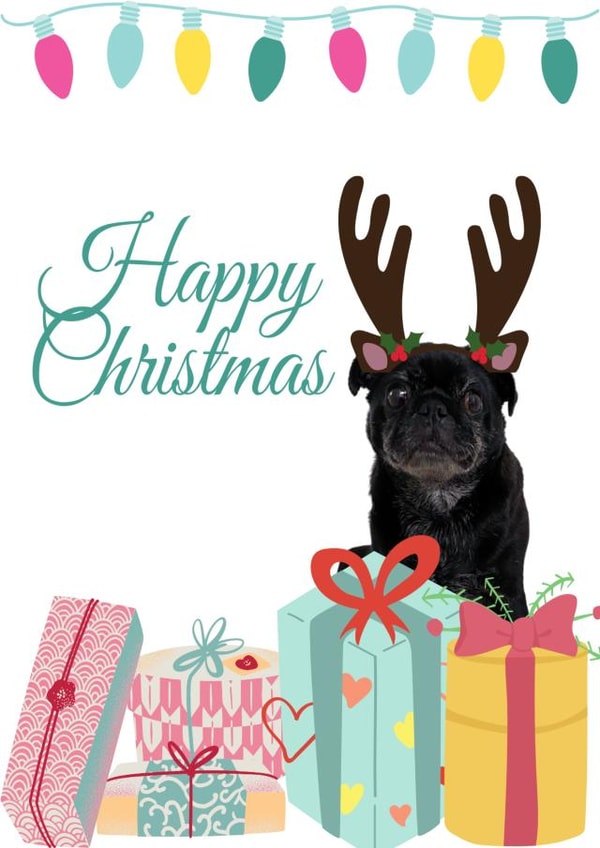 Happy Christmas pug lover created by Made by Betty