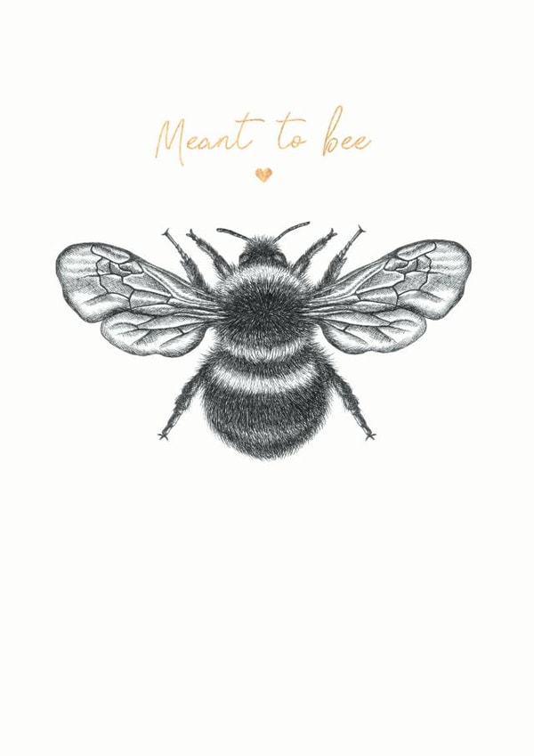 Meant to Bee -Wedding, Engagement & Anniversary Bumblebee Card created by Lucy Francis