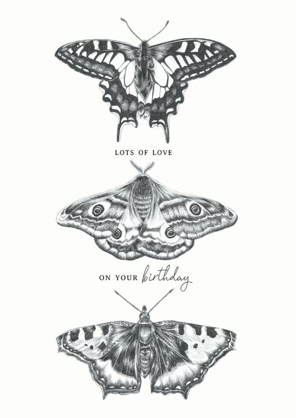 Lots Of Love On Your Birthday Butterflies & Moth Birthday Card created by Lucy Francis