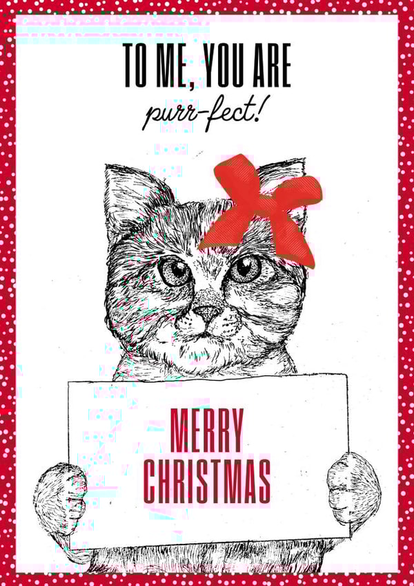 Purr-fect created by Hairytails LTD