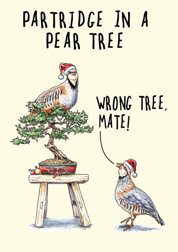 Partridge In A Pear Tree Christmas Card created by Bewilderbeest