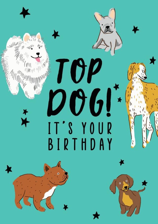 TOP DOG created by Debra Lilly