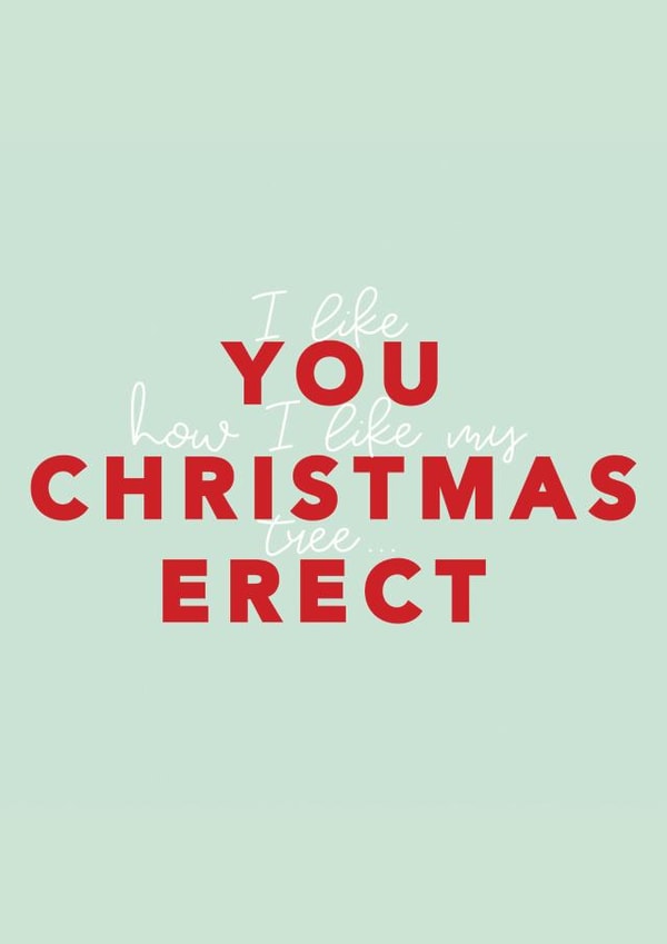 I like you how I like my christmas tree... erect 1001 created by Jamie Lindsay