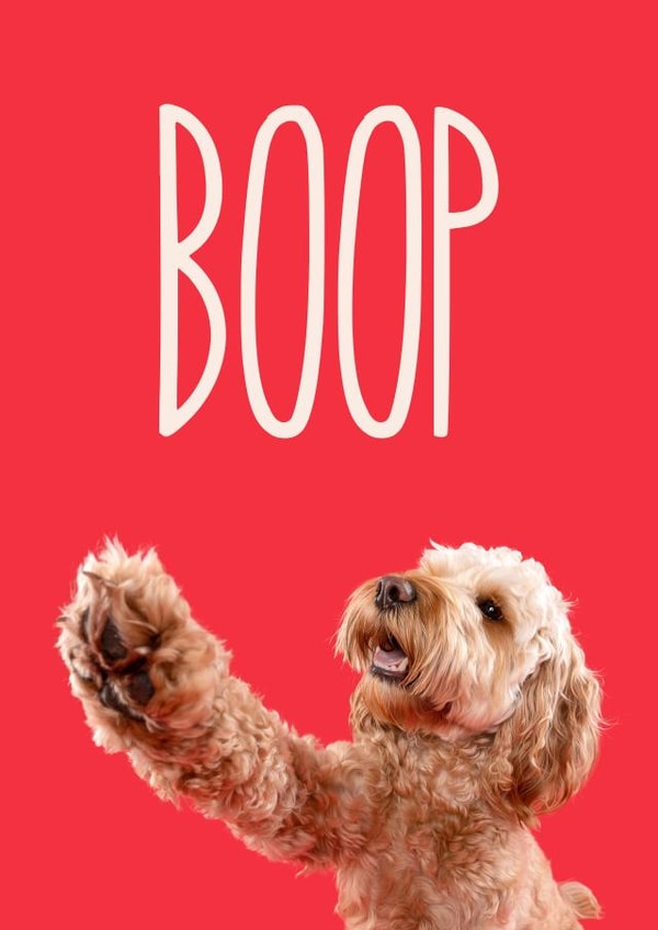 Boop Greetings Card created by The Yorkshire Pawtrait Co.