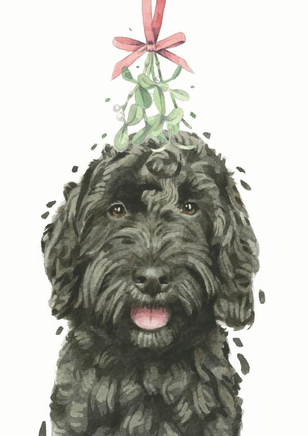 Cockapoo Under the Mistletoe - Mistletoe - Cute - From The Dog - Christmas Card - Dog Parents - Puppy Love - Christmas Card created by Robert James Hull