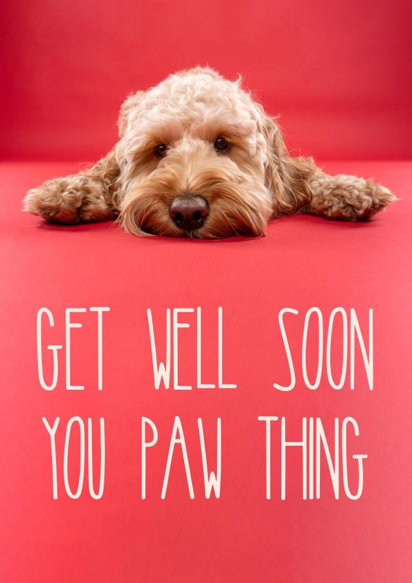 Get Well Soon Cockapoo Card 1001 created by The Yorkshire Pawtrait Co.