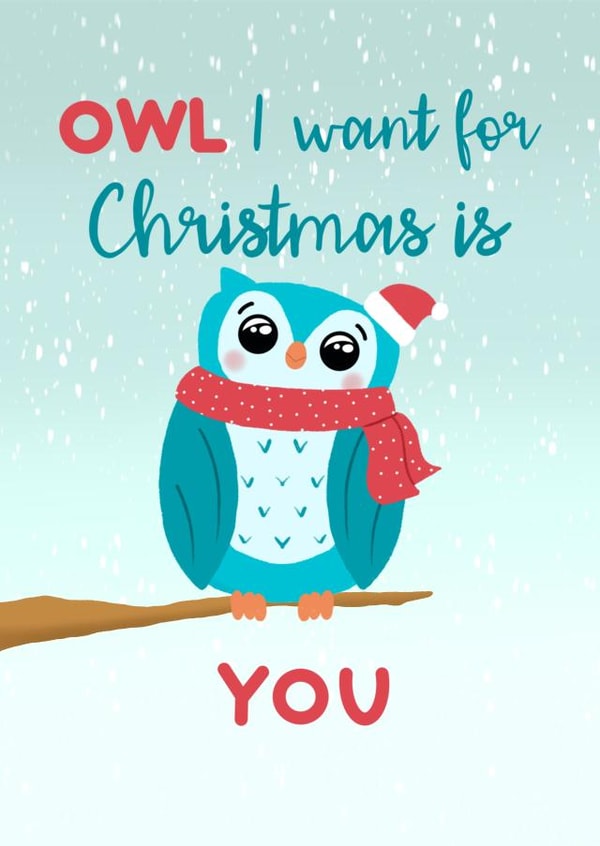 Owl I want for Christmas is you created by Spring of colors