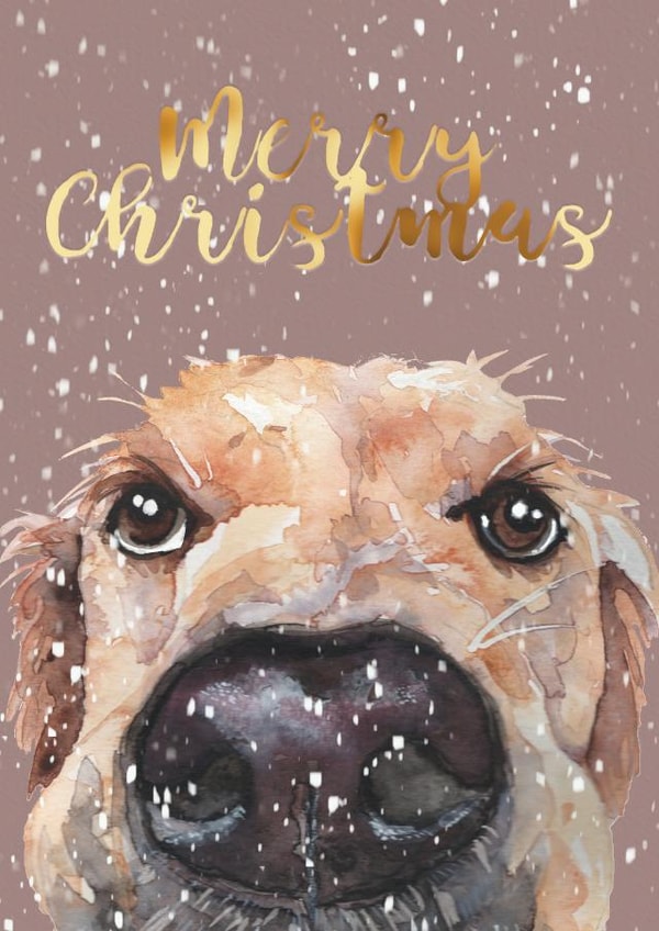 Golden Labrador Retriever Christmas Card created by Jo Scott Art