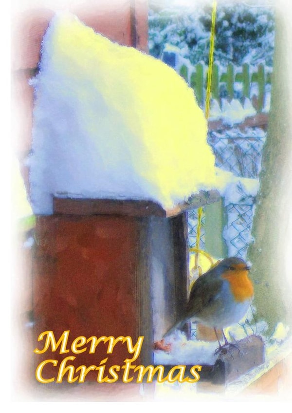 Christmas Robin in the Snow created by Peter Barrett