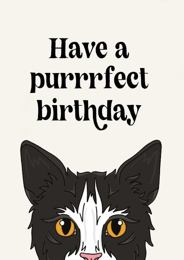 Purrrfect Birthday Card created by Penny and Me