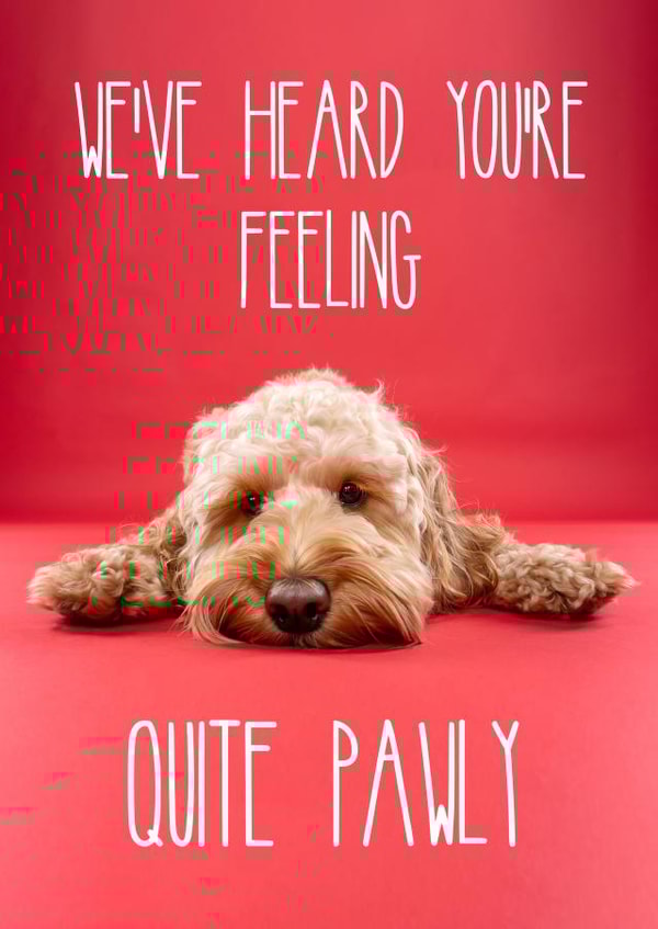 Get Well Soon Cockapoo Dog Card created by The Yorkshire Pawtrait Co.