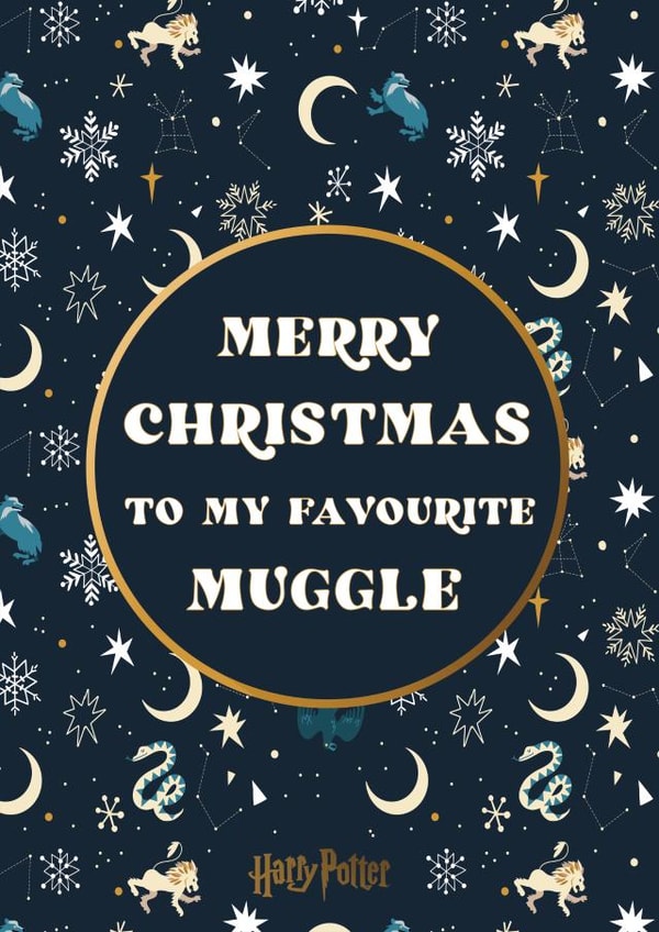 Merry Christmas Muggle Harry Potter Christmas card  1000 created by Cardology