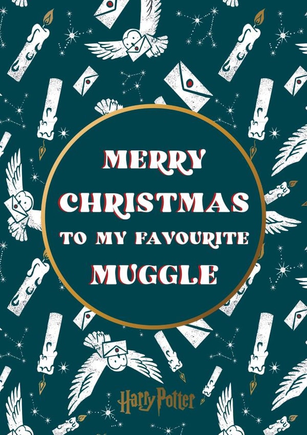 Merry Christmas Muggle Harry Potter Christmas card  1001 created by Cardology