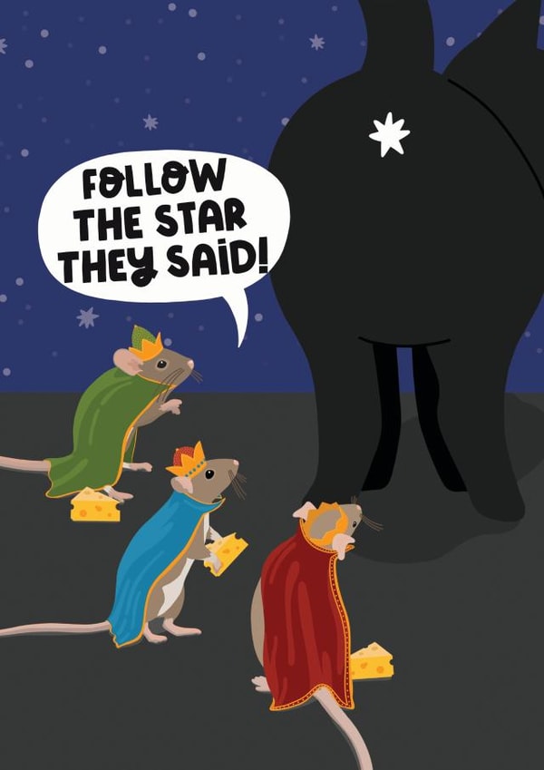 Confused by the cats bum, Christmas Card created by Sweary Cats by Leaf Lane Studio