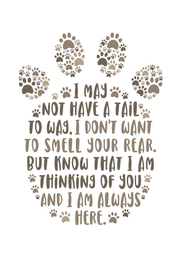 Pet sympathy Card created by Cookie Design