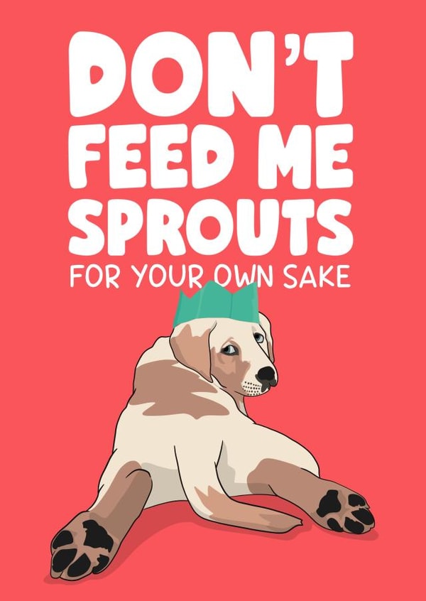 Don’t feed me sprouts created by Daniella Illustrates 