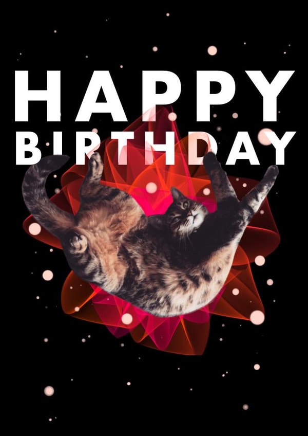 Happy birthday cat bow card created by andyclayotbay
