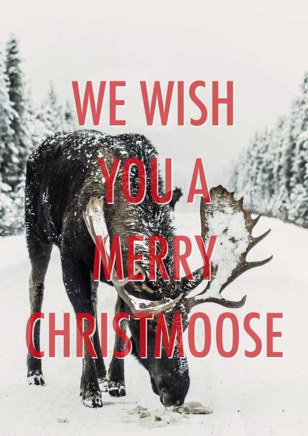 Christmoose pun Christmas card created by Number 27 Design