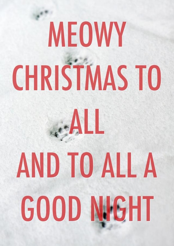 Meowy Christmas to all created by Number 27 Design