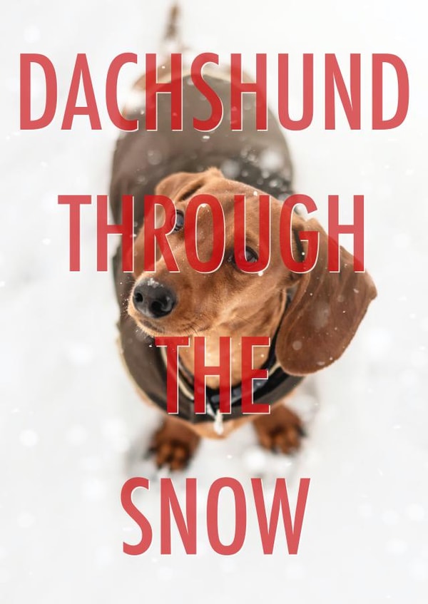 Dachshund through the snow created by Number 27 Design