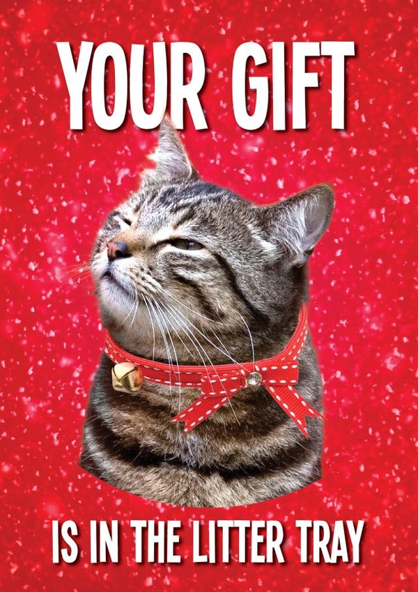 Your Christmas Gift is in the Cat Litter Tray created by kissmekwik