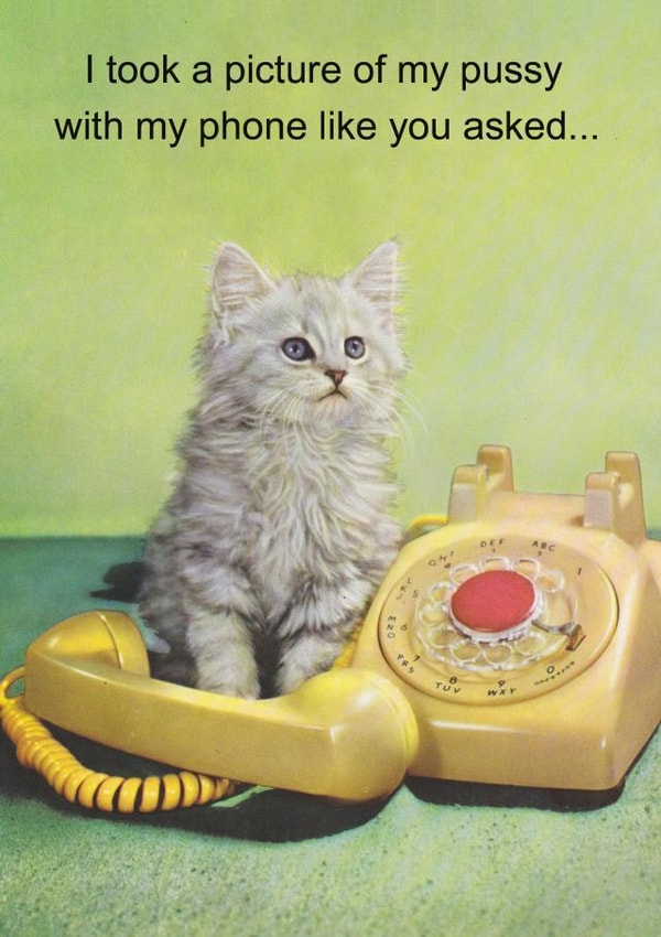 A Picture of a Pussy with a Phone created by kissmekwik
