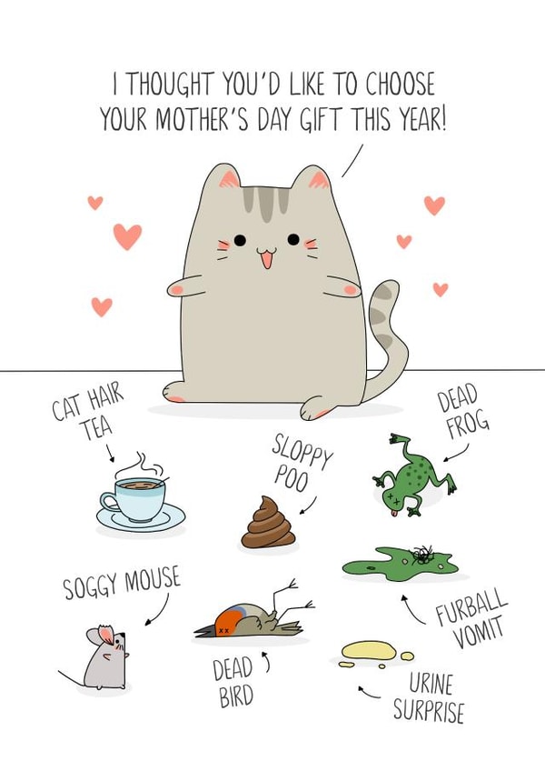 Funny Cat Mothers Day Card - Mum - I Thought You'd Like To Choose Your ...