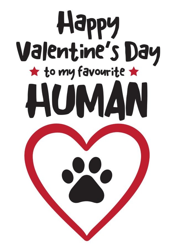 Cute funny Valentine's Day card from the dog or from the cat created by Hello Fridays Studio