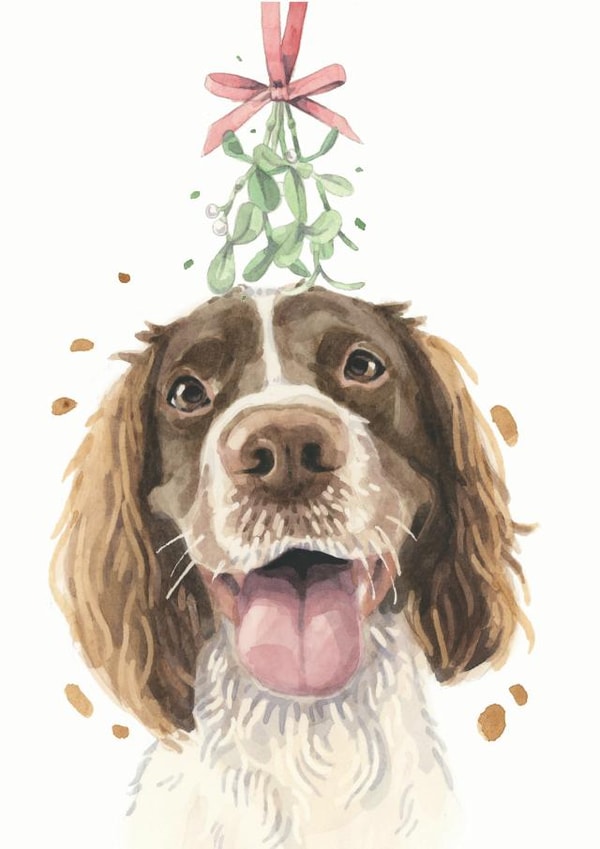 Springer Spaniel Christmas Card created by Robert James Hull