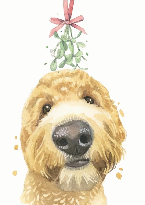 Golden Doodle Cockapoo Cavapoo Christmas Card created by Robert James Hull