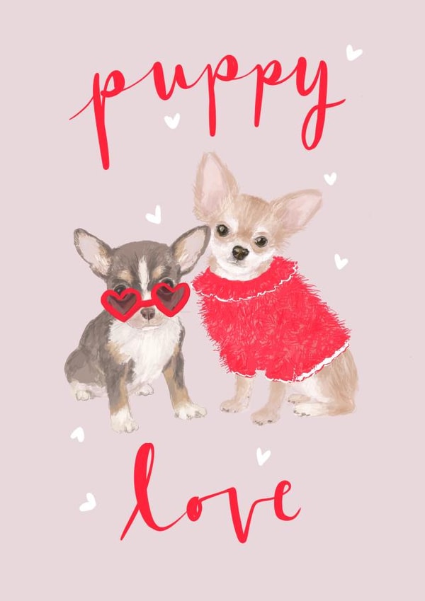 Chihuahua Valentines Day Card Cute Puppy Love Dog Illustration created by Honey & Velvet Studio