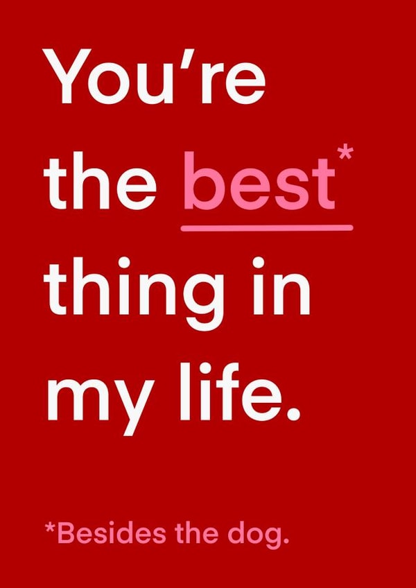 Best besides the dog Valentine’s and anniversary card created by The Girl Next Draw Cards