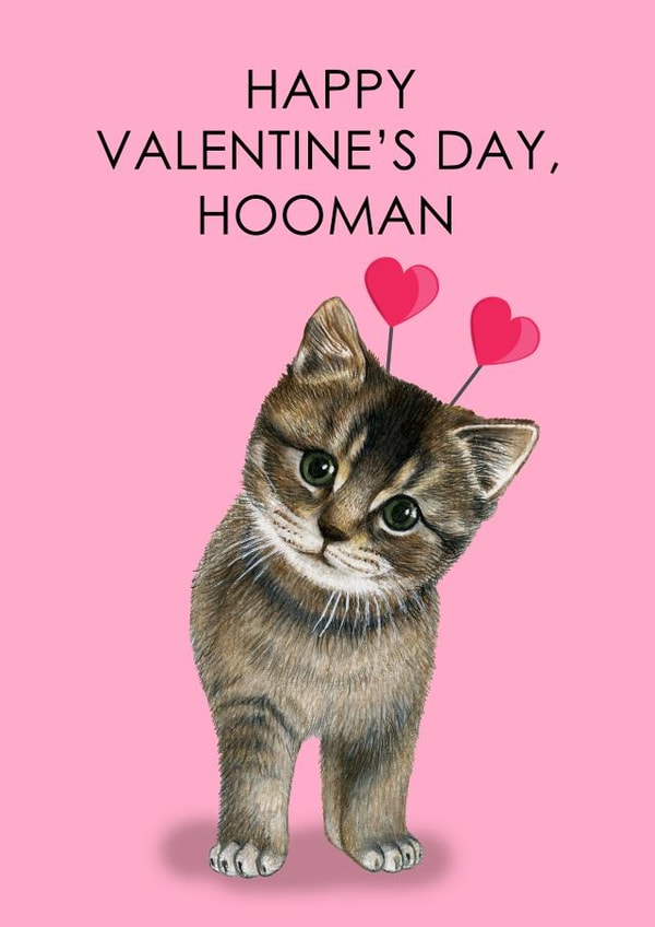 Happy Valentine's Day from the Kitten created by Angela Otimo