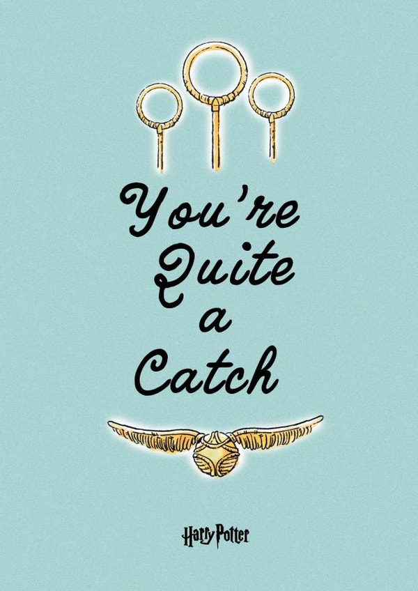 Cute and Funny Valentine's Card - You're Quite a Catch - Harry Potter created by Cardology