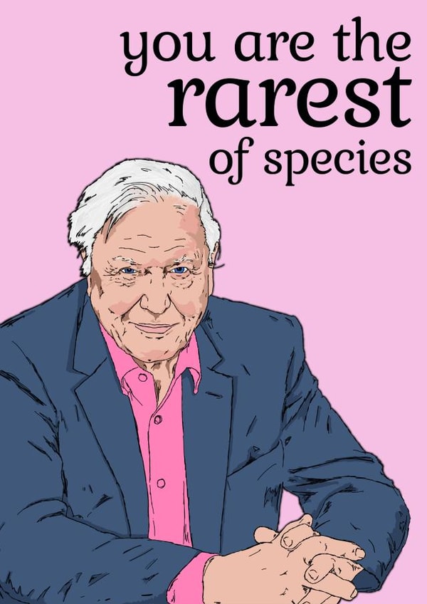 Attenborough Valentines Day Card created by NotNiceThings