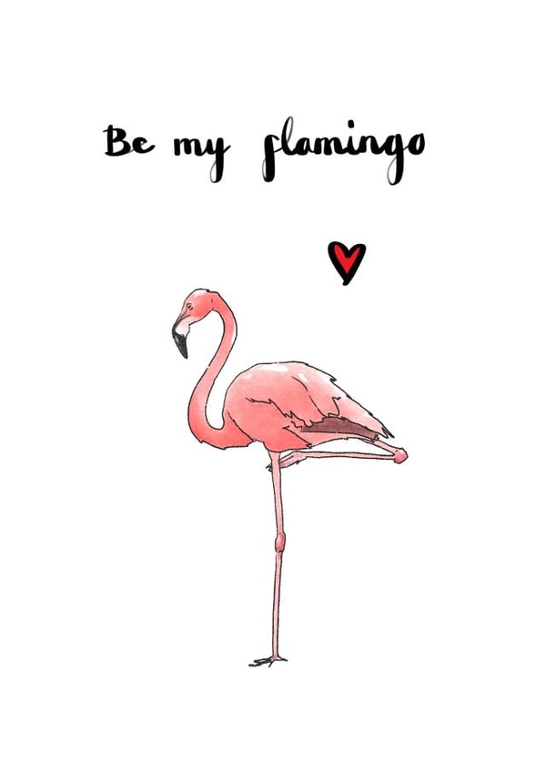 Be my flamingo created by AVO-CARDO