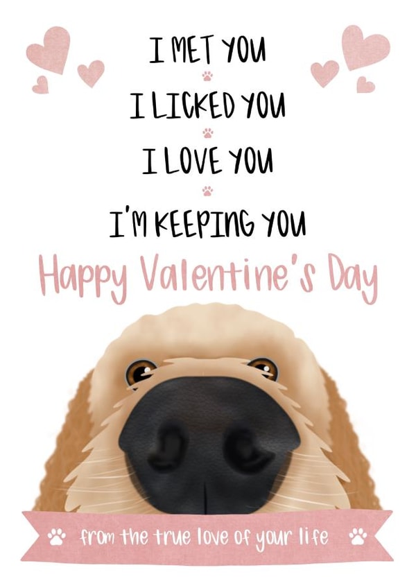 Valentine's Day Card - Labrador / Cockapoo - From The Dog - I Met You, I Licked You, I Love You, I'm Keeping You created by The Merry Giraffe