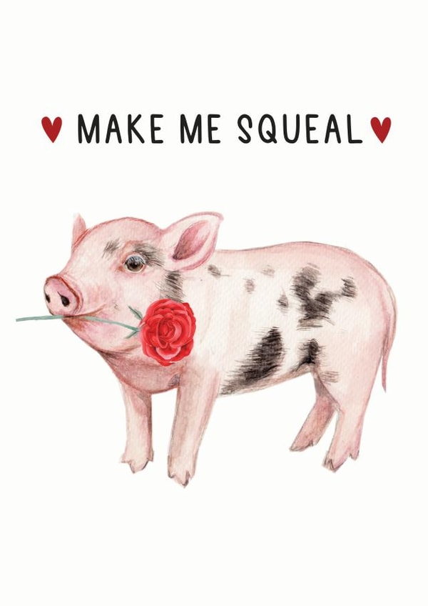Funny Pig Valentines card created by Paint & Ralph