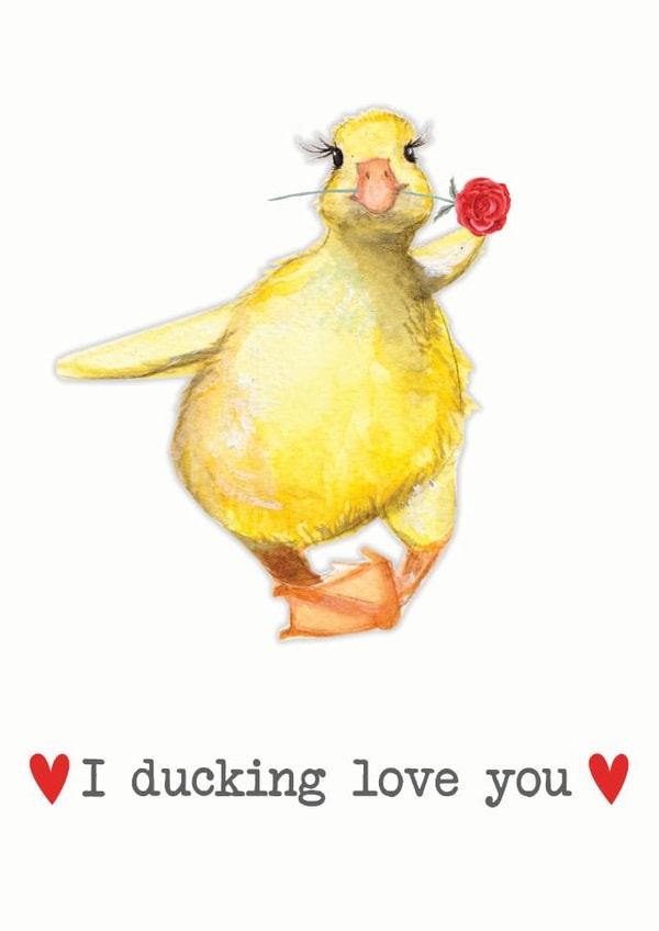 Funny duck valentines card created by Paint & Ralph