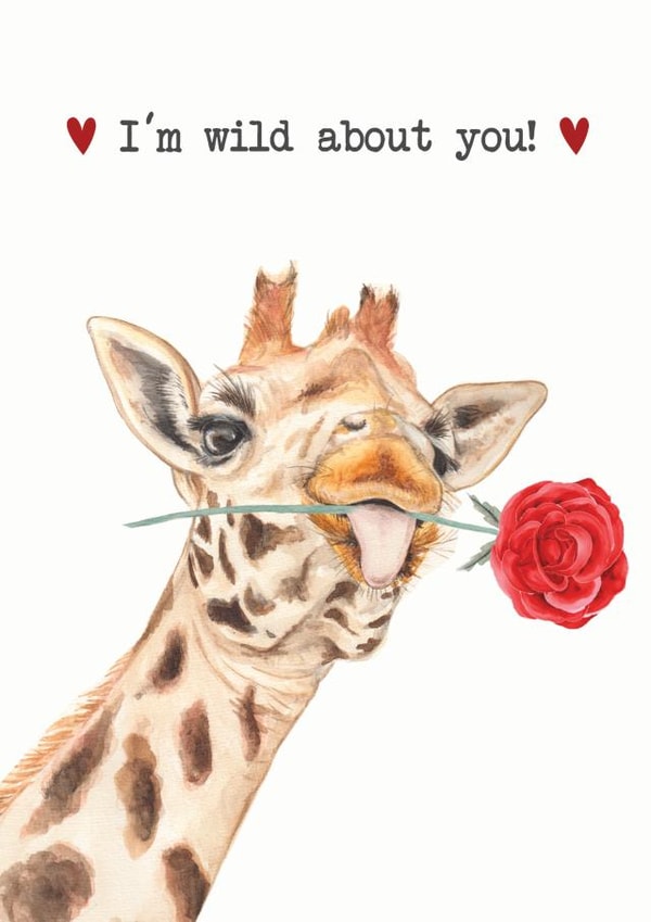 Wild about you giraffe valentines card created by Paint & Ralph