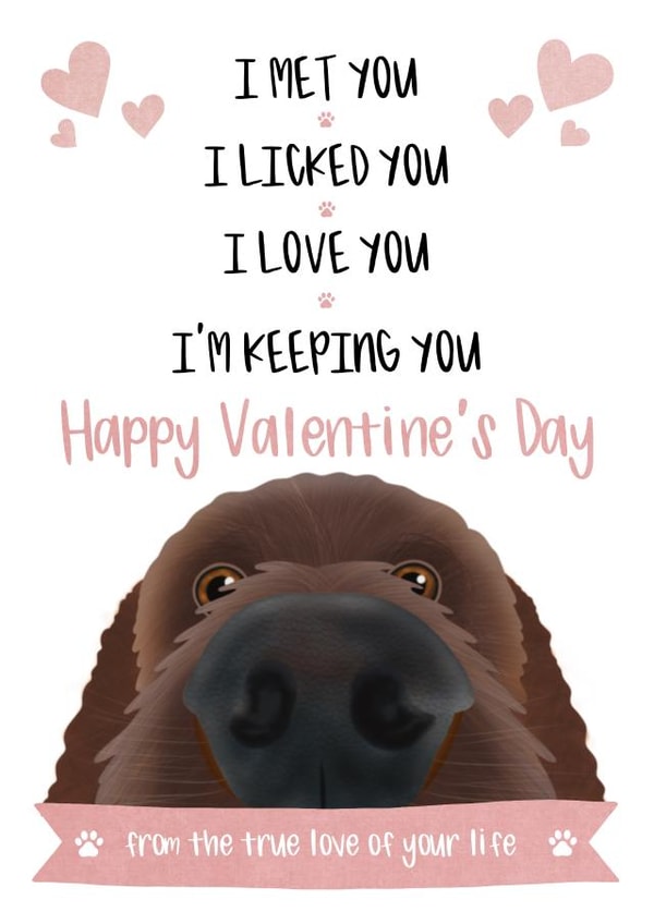 Valentine's Card from the Dog created by The Merry Giraffe