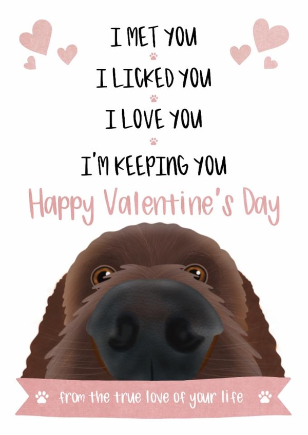 Valentine's Card from the Dog created by The Merry Giraffe